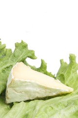 Camembert  dans une feuille de salade verte