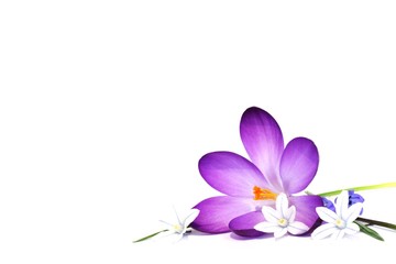 Fr&uuml;hlingsstillleben