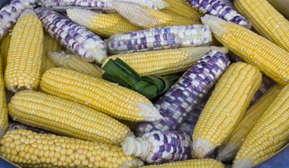 Corn boil in a saucepan on the market in Thailand