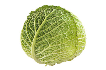 Head cabbage