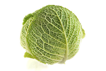 Fototapeta premium Head cabbage