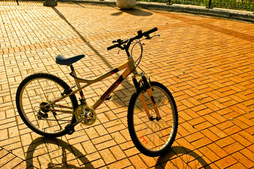 bicycle in brick floor under sunlight