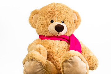 Teddy mit Schal
