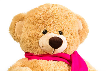 kranker Teddy