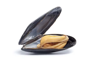 Foto auf Glas One single cooked mussel on white background © Picture Partners