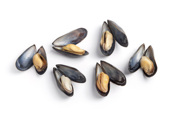 Cooked mussels on white background