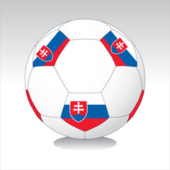 Obraz premium soccer ball vector #21