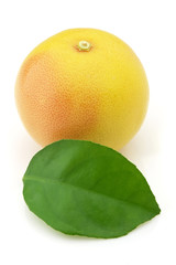 Grapefruit