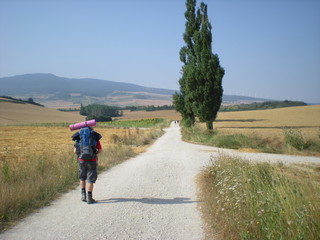 Wanderer