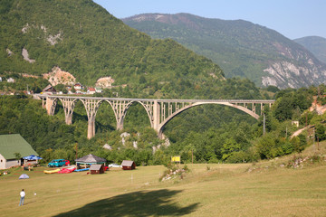 Tara Bridge