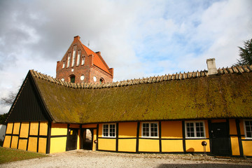 Danish house