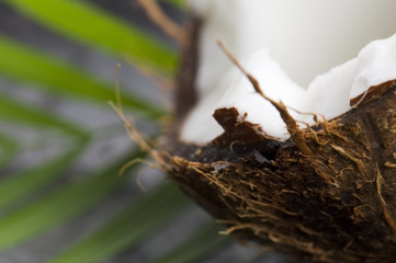 coconut and palm leaf. exotic scene