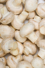 Edible button mushrooms