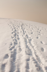 footprints in snow