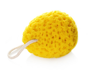 Bath Sponge isolated on white