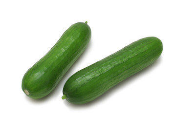 Lebanese Cucumber