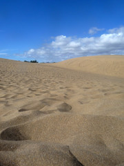 Scenic View Of Maspalomas Dunes