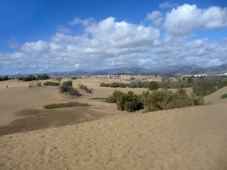 Fototapeta na wymiar Scenic View Of Maspalomas Dunes