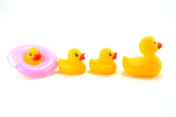Ducks going swimming