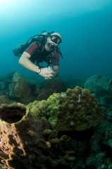 male Scuba diver swimming