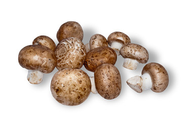 Mushrooms are champignons