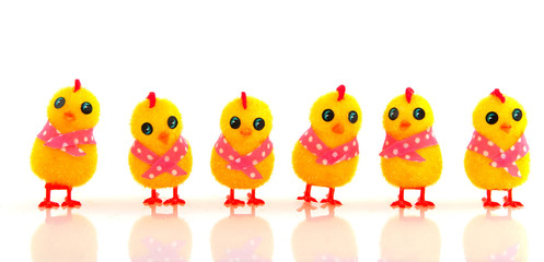 Funny easter chicks