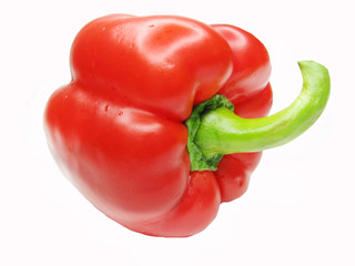 red pepper vegetable