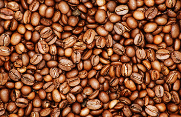 Coffee Bean Background