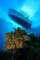  Boat moored over coral reef © Richard Carey