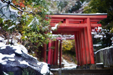 Japanese temple gates covered by snow .