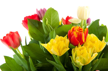 colorful bouquet of tulips