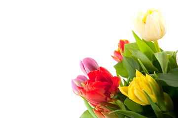 colorful bouquet of tulips