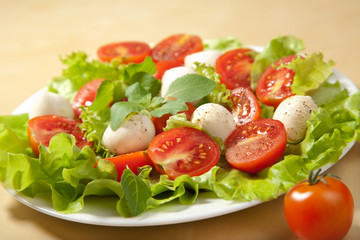 salad with tomatoes and mozzarella