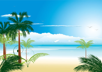 Beautiful tropical beach