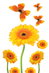 Blumencollage