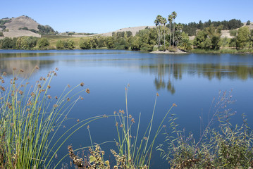 Obraz na płótnie Canvas Calm blue lake reflecting trees