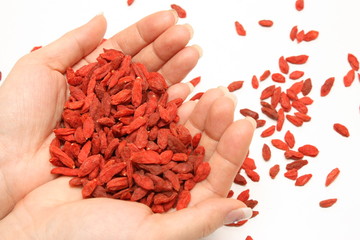 Goji dans la main