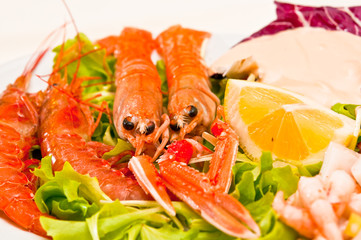 insalata di scampi