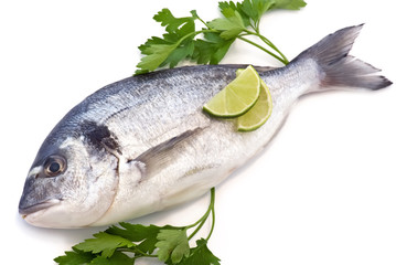 Dorade