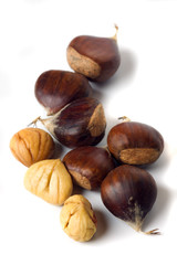 Chestnut isolated on white