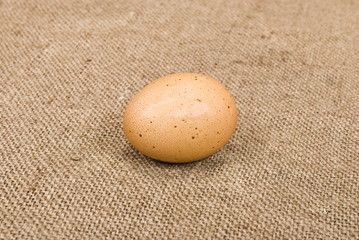 Egg on sackcloth background