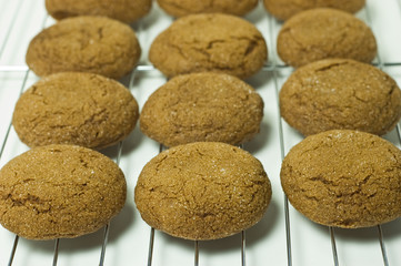 Gingersnaps