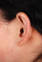 ear