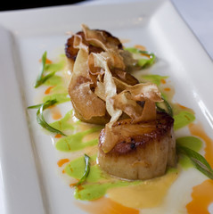 Scallop entree