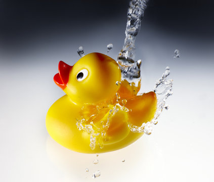 Rubber Duck gets shower