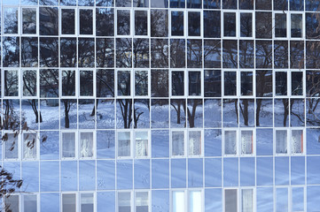 glass wall of the office building