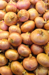 Healthy onion vegetable food for freshness eating