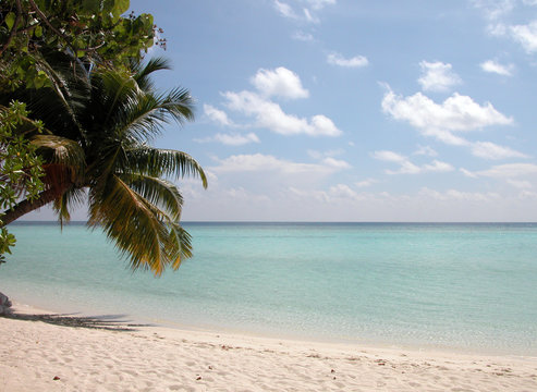 Relaxing Maldivian Beach