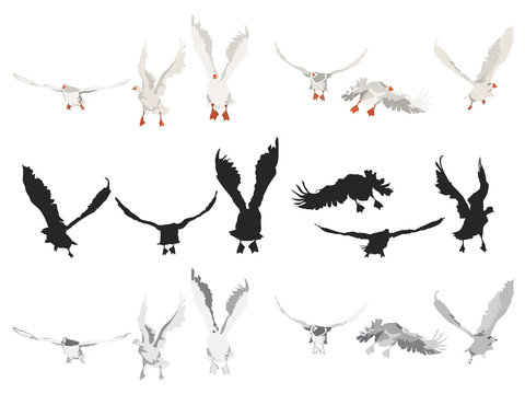 flying geese collection,  different color versions