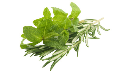 Mint and rosemary
